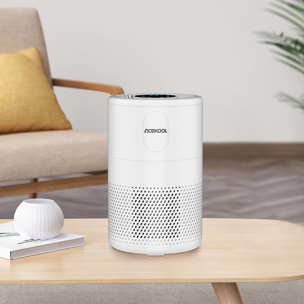 Can Air Purifiers Answer Pet Allergy Problems at Your Home?