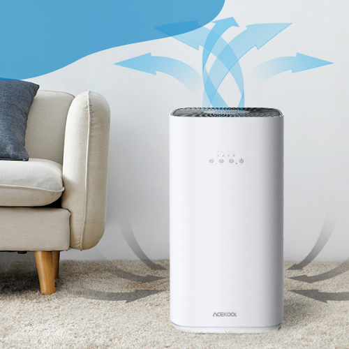 Best Place for an Air Purifier: Location in Room and Office