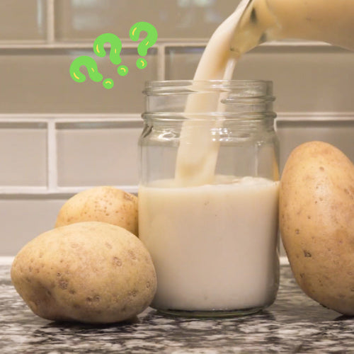 Does Potato Milk Taste Good? Know Its Recipe & Nutritional Value