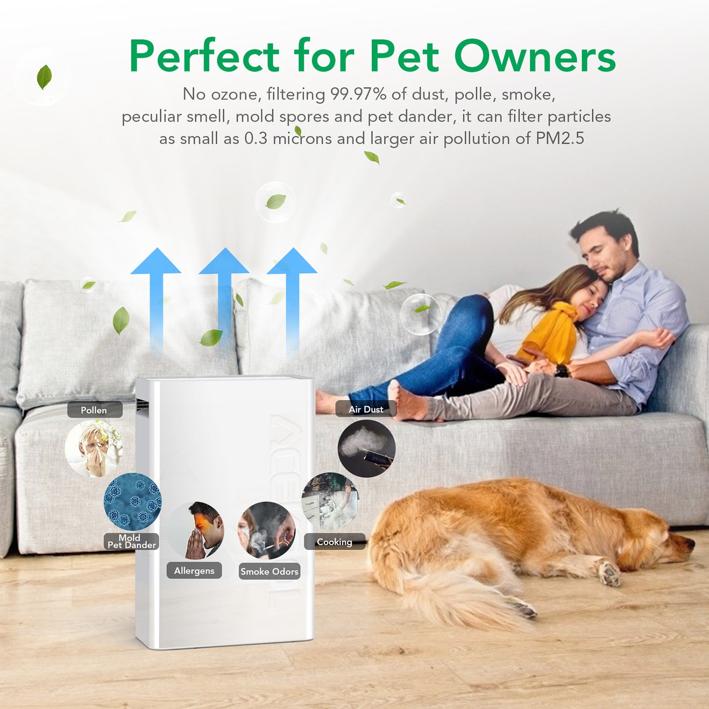 Acekool Pet Friendly Air Purifier AF1 